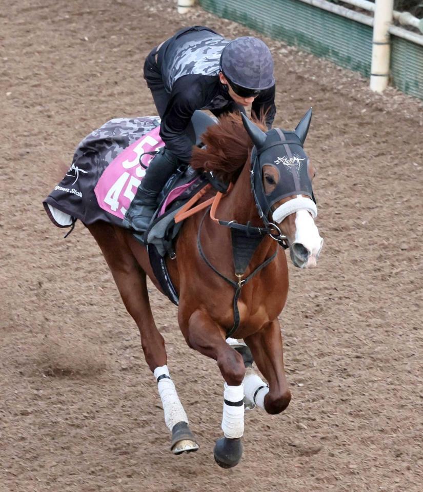 　順調にメニューを消化したナムラクララ