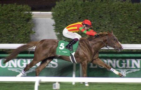 　豪快に差し切ってレッドシーターフＨＣを制したビザンチンドリーム