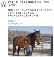 　シルク・ホースクラブのＸ＠ＳＩＬＫＨＣｏｆｆｉｃｉａｌより