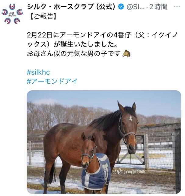 イクイノックス＆アーモンドアイの15冠＆40億ベビー誕生 夢配合の