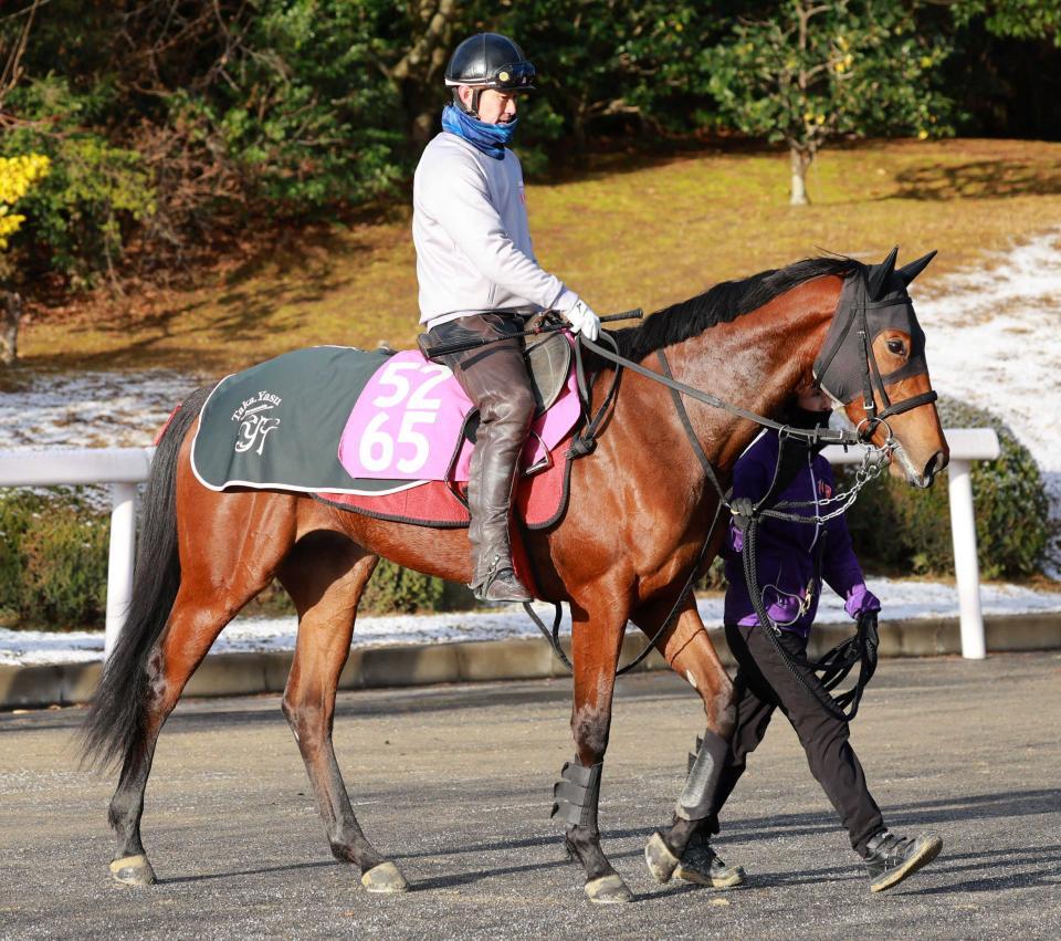 　スリールミニョン