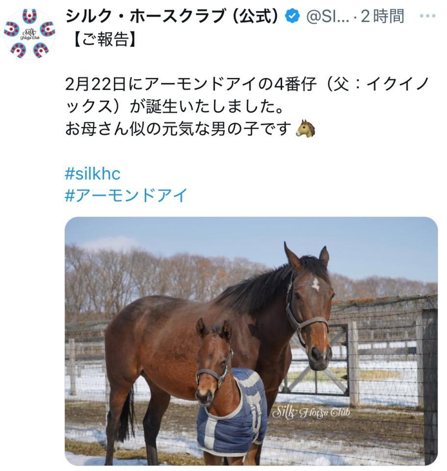 　シルク・ホースクラブのＸ＠ＳＩＬＫＨＣｏｆｆｉｃｉａｌより