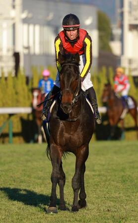 ミュージアムマイル＝朝日杯ＦＳ２着時