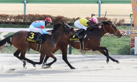 ヒヤシンスＳを制したルクソールカフェ（右）