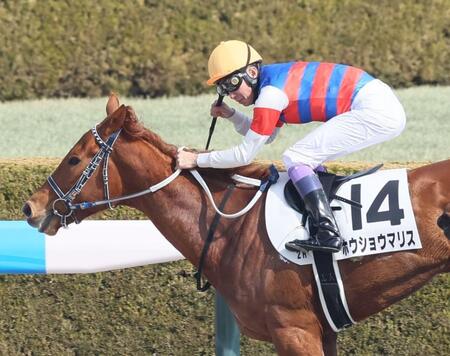 　阪神２Ｒをホウショウマリスで制しガッツポーズを決める武豊（撮影・石井剣太郎）