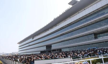 　リニューアルした阪神競馬場（撮影・石井剣太郎）