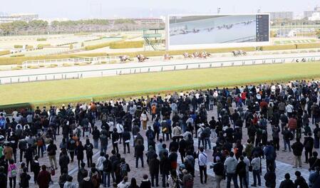 　リニューアルした阪神競馬場（撮影・石井剣太郎）