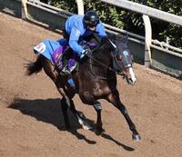 　ソウルラッシュ