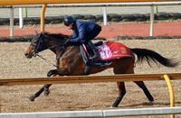 　マイエレメント