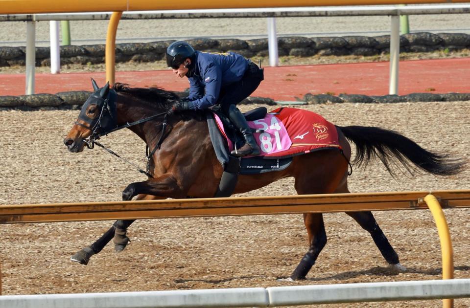 　マイエレメント