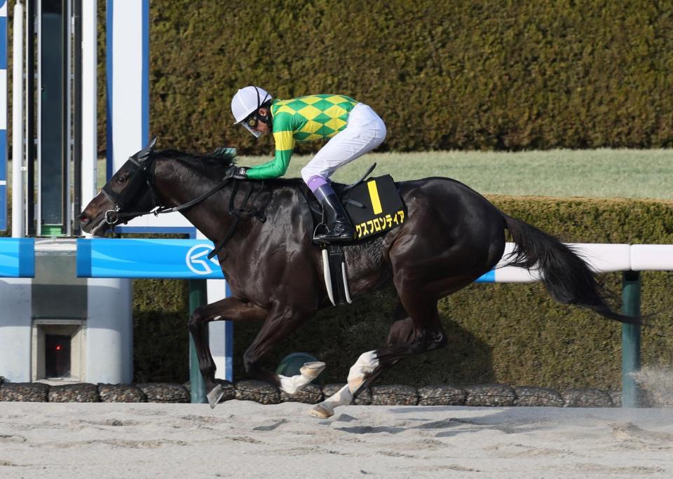 　仁川Ｓを制したルクスフロンティア（撮影・石井剣太郎）