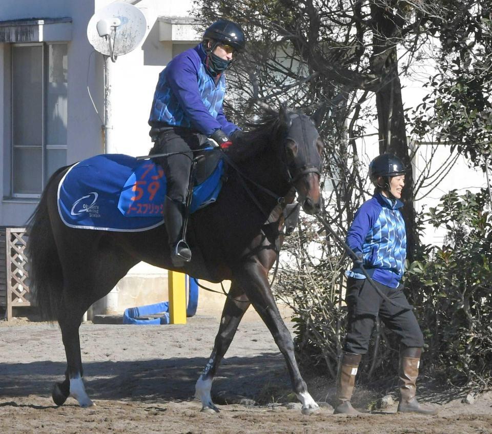　復帰へ向けてリハビリに励むノースブリッジ
