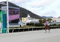 　無傷で重賞３連勝を果たしたオケマル（撮影・中山伸治）