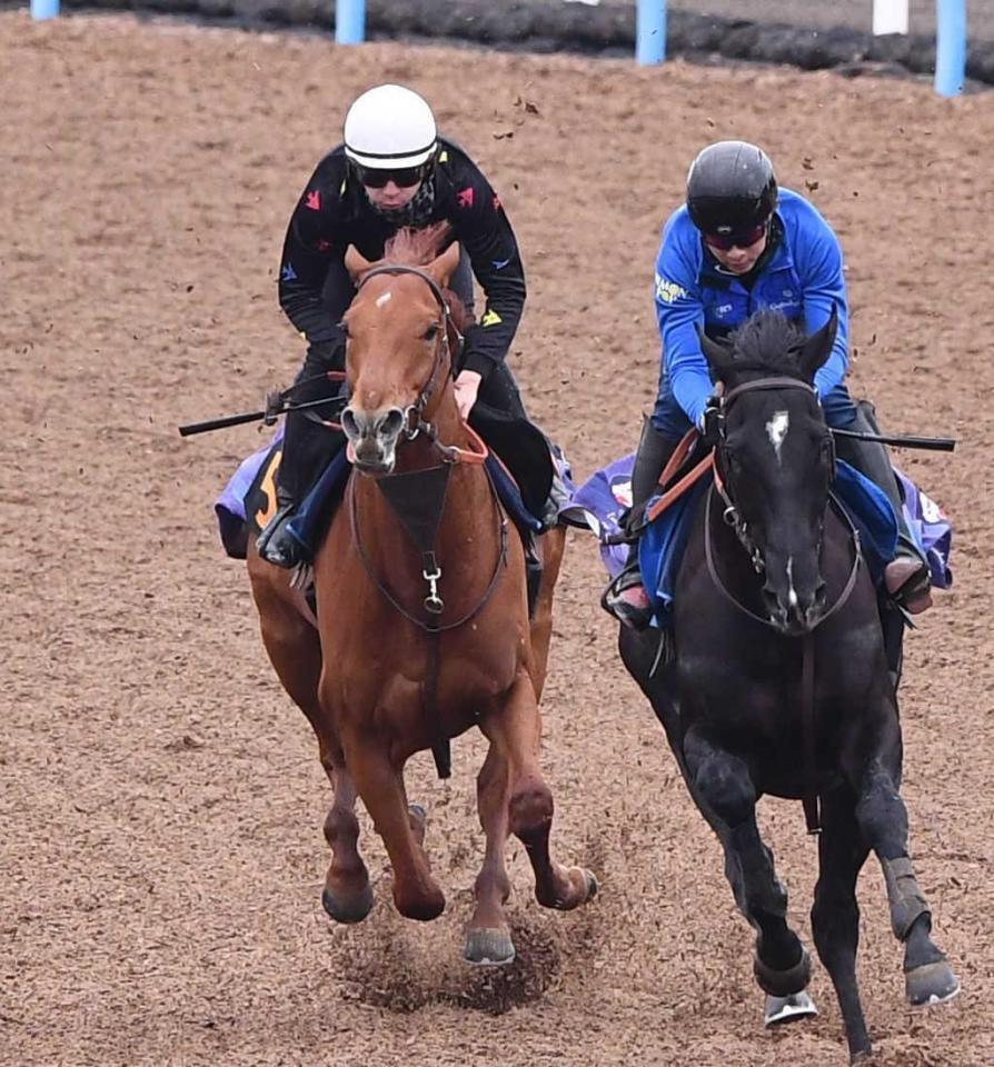 　美浦Ｗの併せ馬で力強い動きを見せたアロヒアリイ（左）
