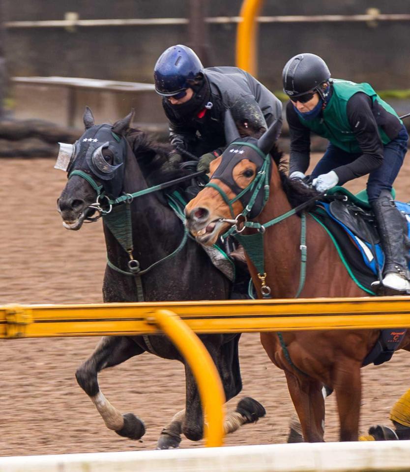 　併せ馬で手応え十分に伸びたクラウディアイ（左）