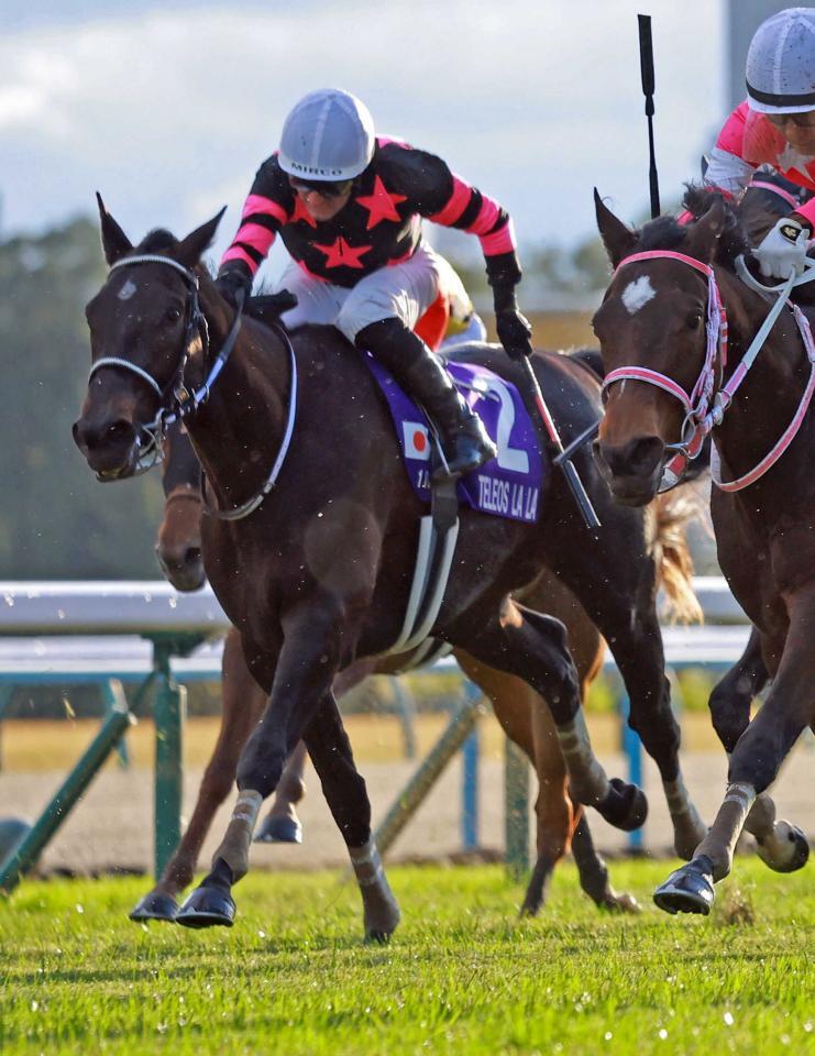 　阪神ＪＦで３着に入ったテリオスララ（左）＝２０２４年１２月８日