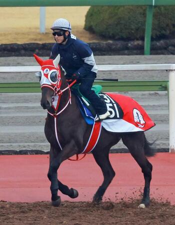 　長期休養明けで復帰即重賞Ｖに挑むキングスコール