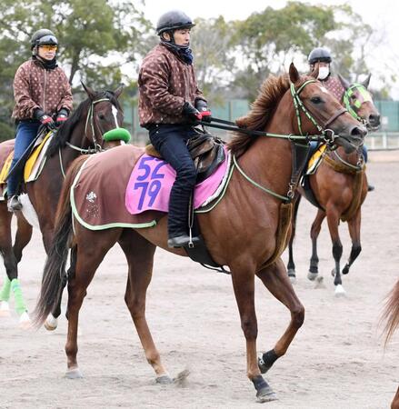 　母子２代で桜切符を狙うジョリーレーヌ