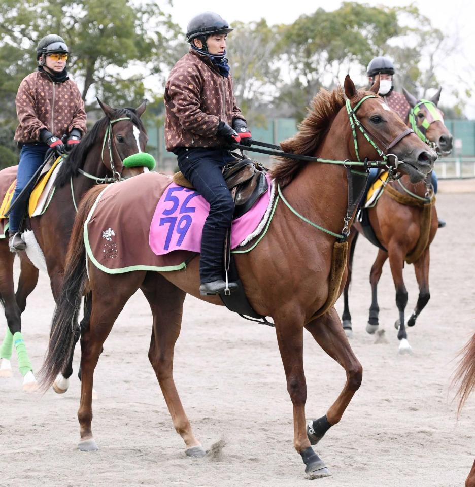　母子２代で桜切符を狙うジョリーレーヌ