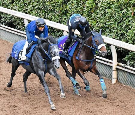 　栗東坂路で追い切るブローザホーン（右）＝撮影・今井雅貴