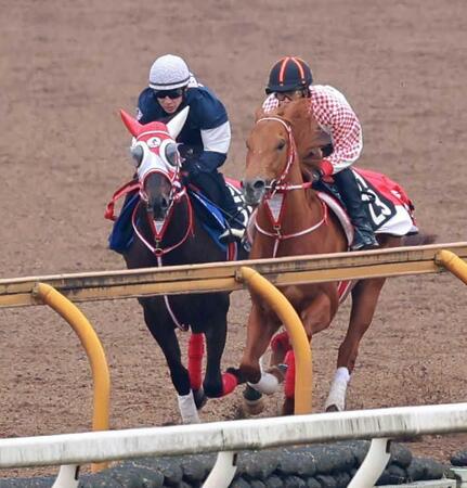 　藤岡佑を背に栗東ＣＷで追い切るキングスコール（左）＝撮影・石湯恒介