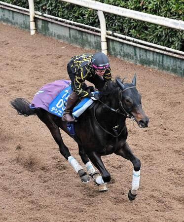 　３連勝へ向けて順調に調整を進めるデシエルト（撮影・今井雅貴）