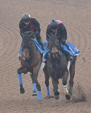 　美浦Ｗで万全の態勢をアピールしたホウオウビスケッツ（左）＝撮影・持木克友