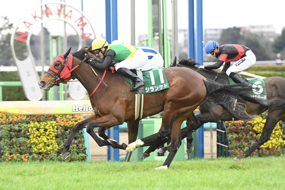 　中山牝馬ステークスを制したシランケド＝３月８日