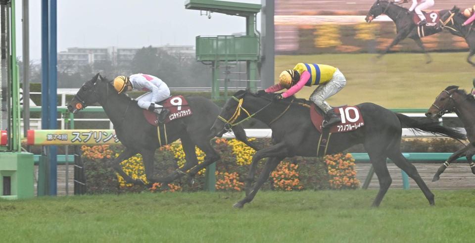 　スプリングＳを制したピコチャンブラック（左）＝撮影・持木克友