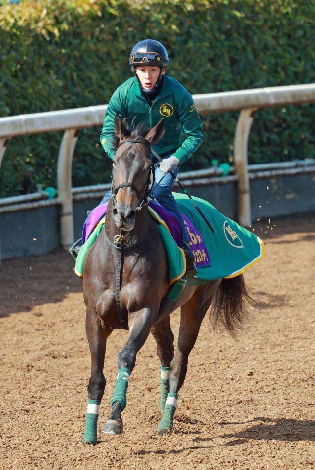 　主役を担う２歳女王アルマヴェローチェ
