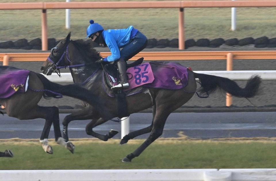 　２連勝に向けて調整されるジョスラン