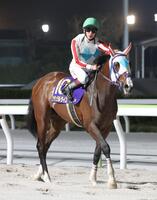 　京浜盃を制したナチュラルライズの頭をなでる横山武