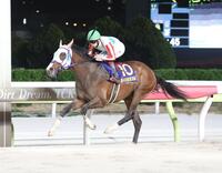 　京浜盃を制したナチュラルライズと横山武