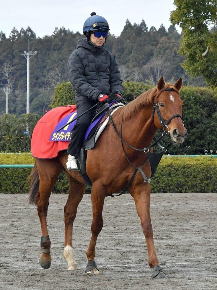 　８歳を迎えても元気いっぱいのウイングレイテスト