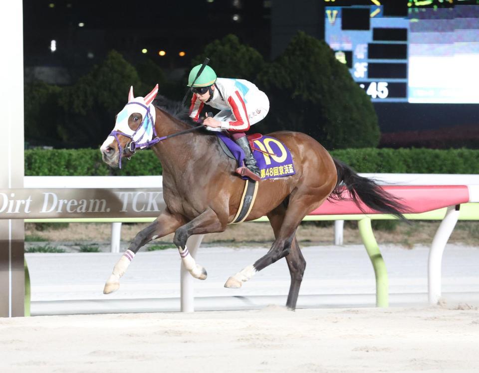 　京浜盃を制したナチュラルライズと横山武