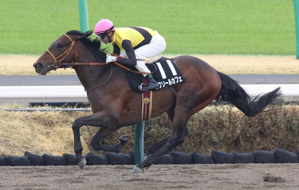 　後続を突き放したルクソールカフェ