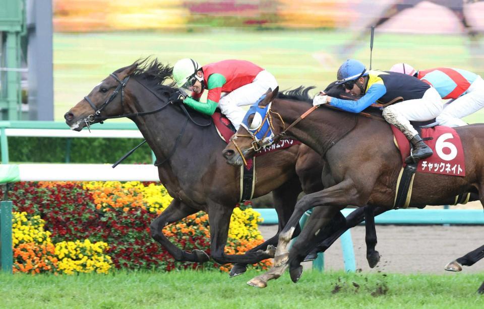 　チャックネイト（右）の猛追を振り切るマイネルエンペラー