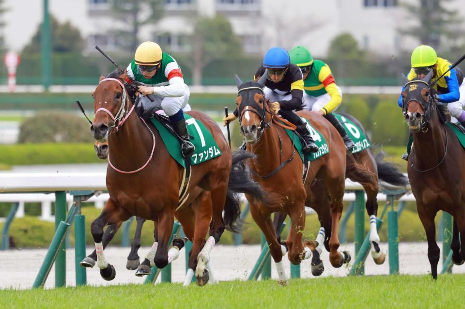 　無傷の３連勝で毎日杯を制したファンダム（左）＝撮影・石湯恒介