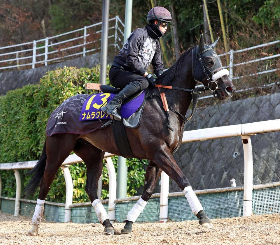 　悲願のＧ１獲りへ機は熟したナムラクレア