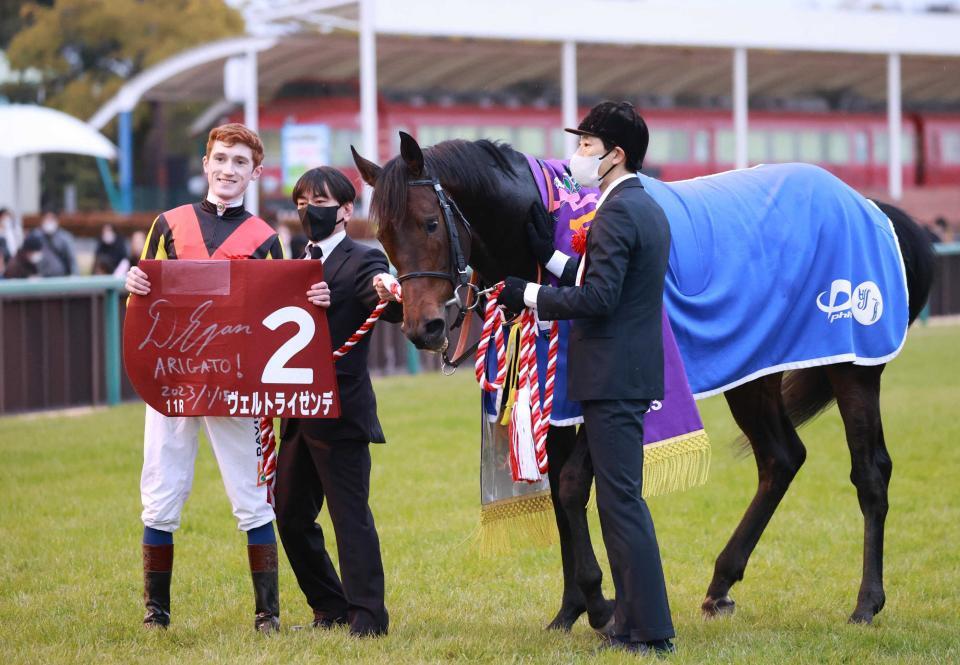 　２３年の日経新春杯を制したヴェルトライゼンデ
