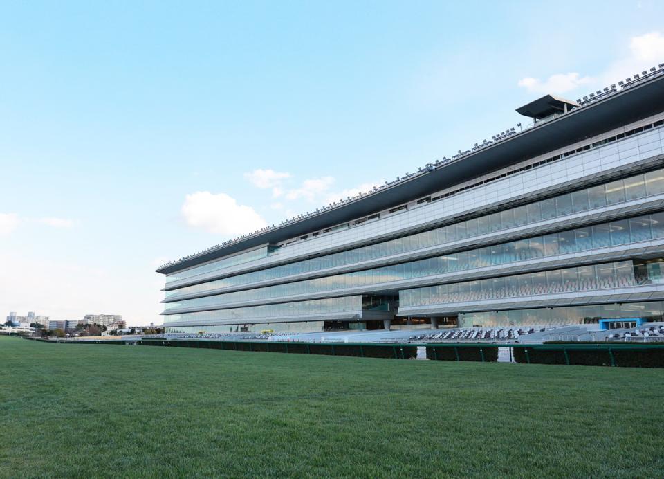 　阪神競馬場