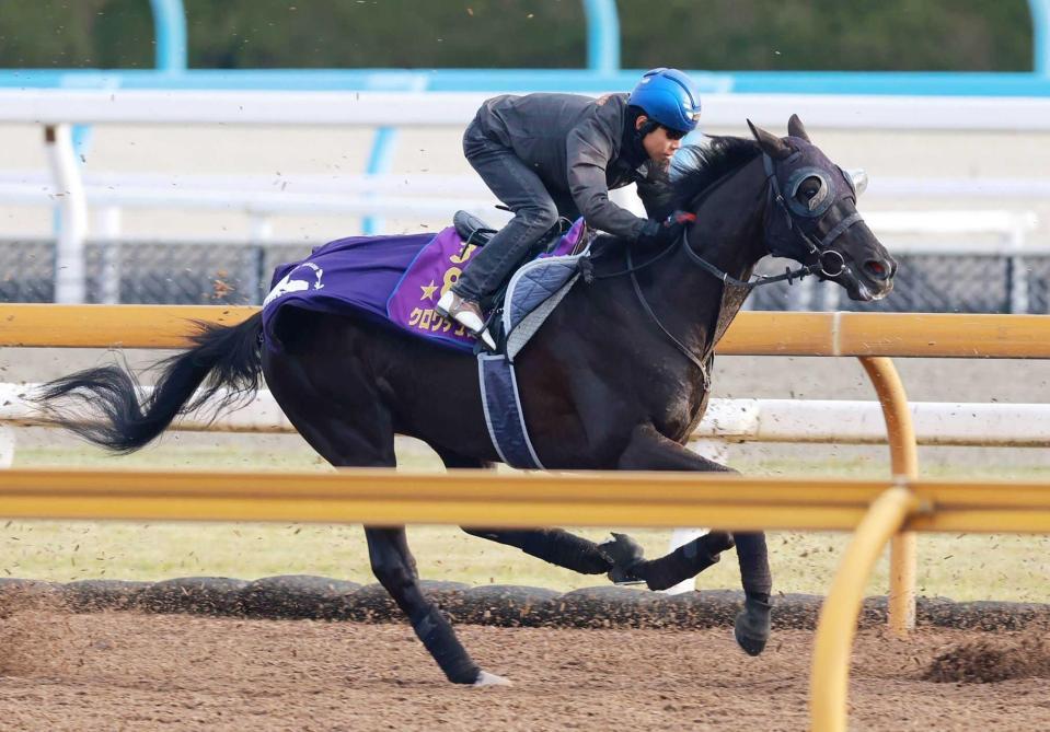 　北村友を背に栗東ＣＷで追い切られたクロワデュノール