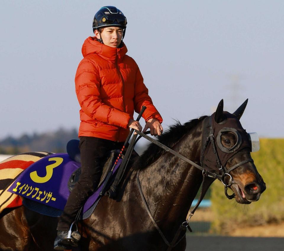 　エイシンフェンサー