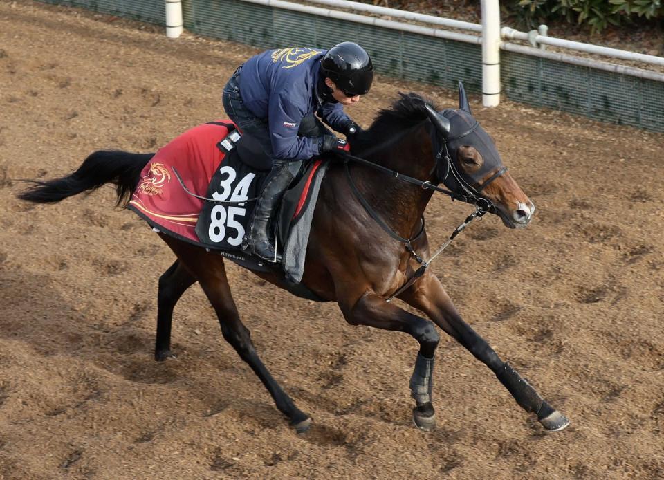 　ネブラディスク