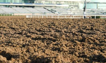 　メイダン競馬場のダート