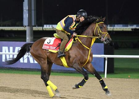 【ドバイＷＣ】ウシュバテソーロ　有終Ｖ決める　高木師「状態は万全」具合の良さをアピール