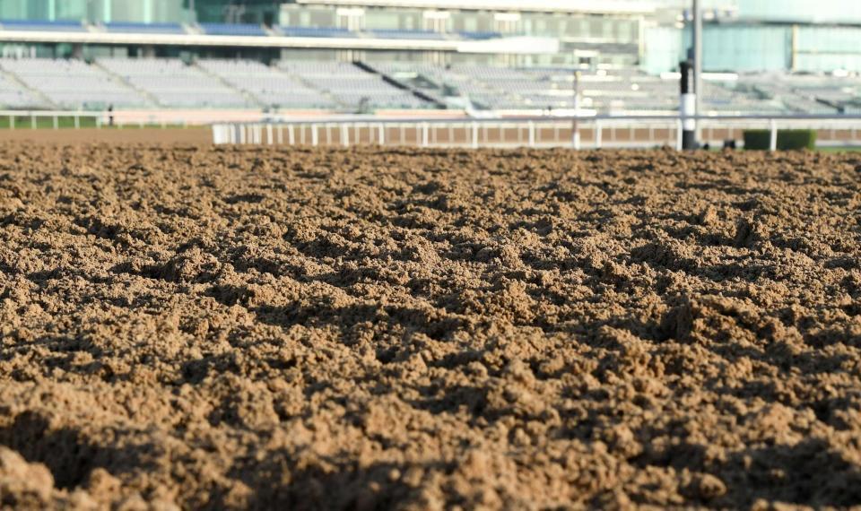 　メイダン競馬場のダート