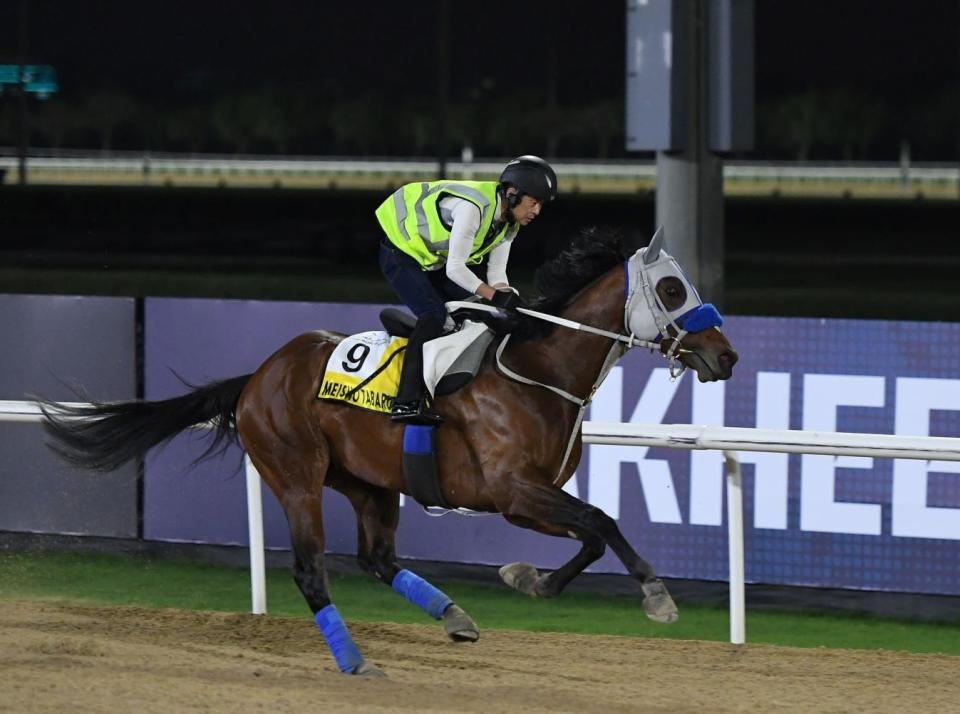 　ダートコースを周回するメイショウタバル