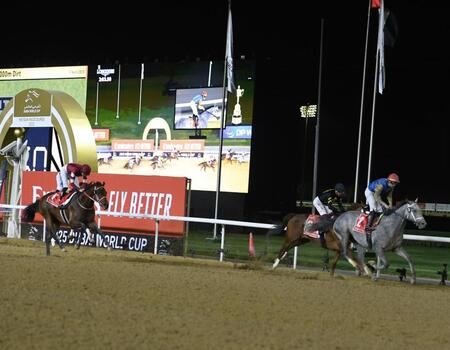 　３着に敗れたフォーエバーヤング