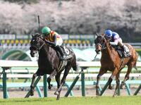 　好位から抜け出したピックデムッシュ（左）